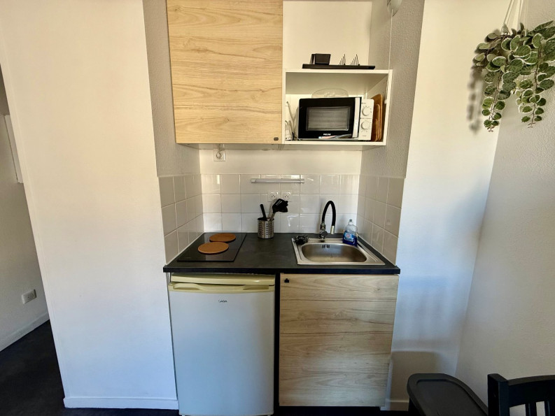 location Appartement Toulouse - Photo 3