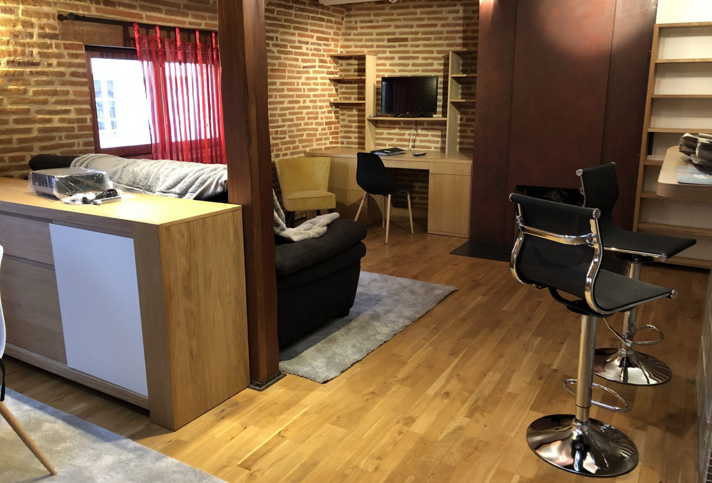 location Appartement Toulouse - Photo 7