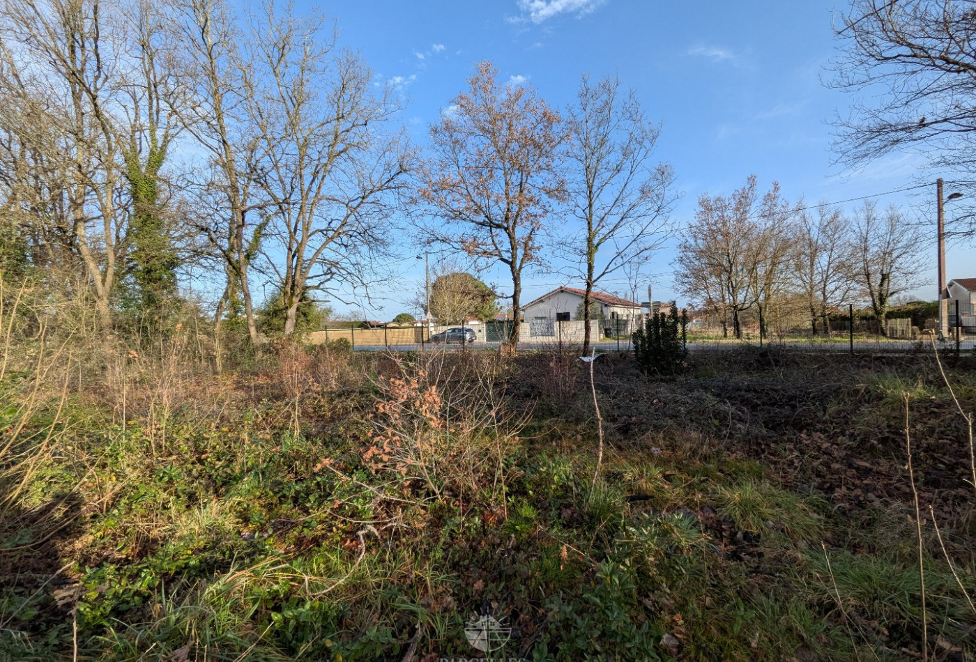 vente Terrain Muret - Photo 2