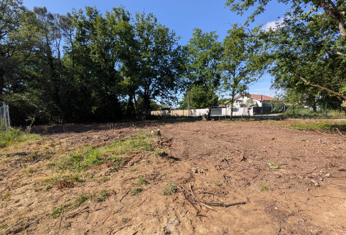vente Terrain Muret - Photo 2