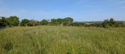 vente Terrain Palaminy