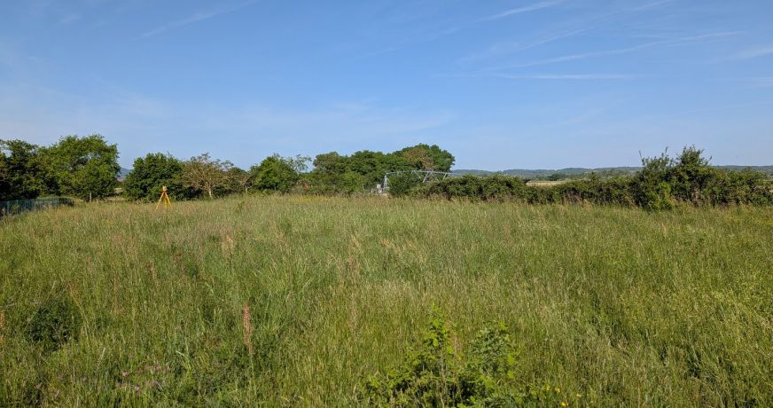 vente Terrain Palaminy