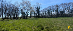 vente Terrain Muret