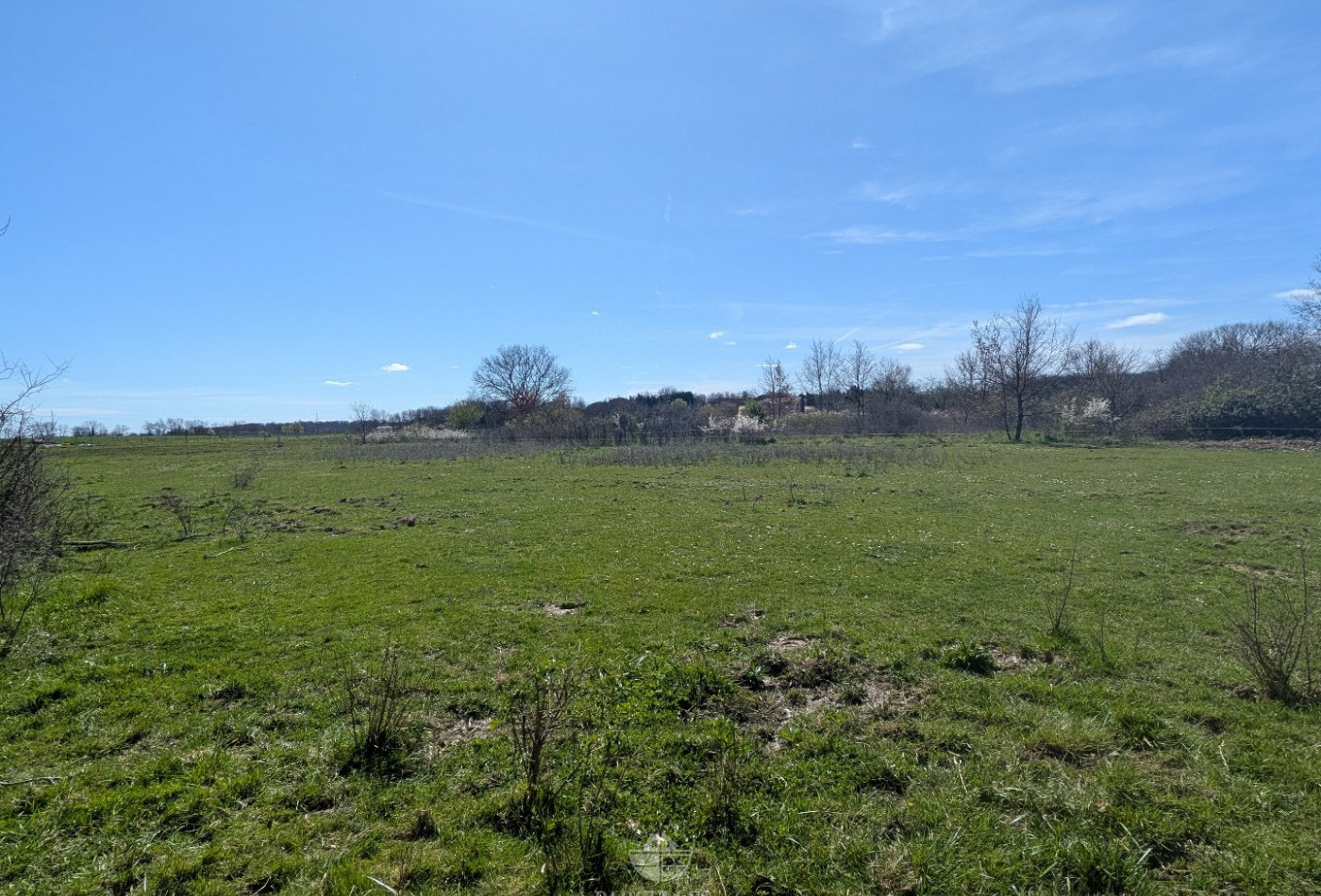 vente Terrain Muret - Photo 2