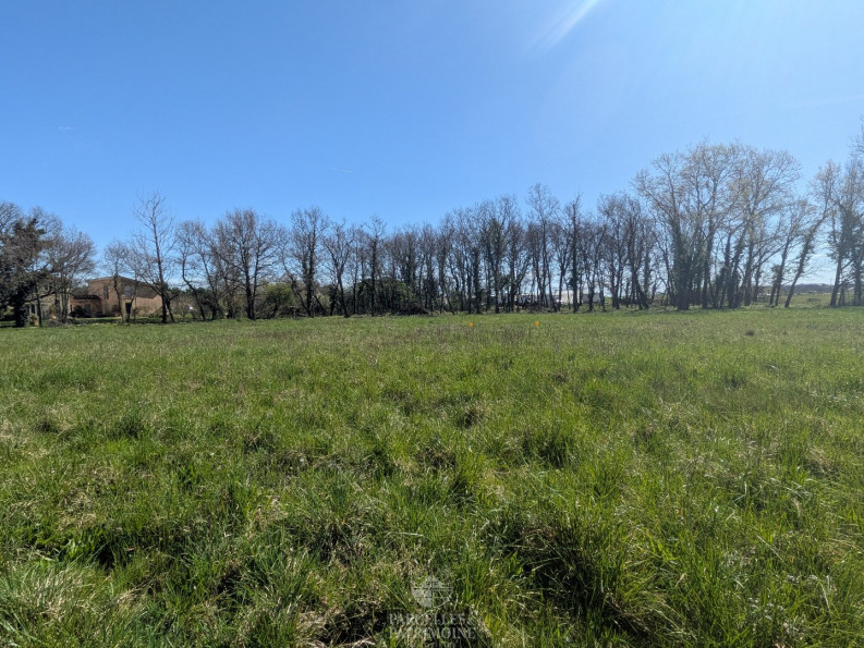 vente Terrain Muret - Photo 2