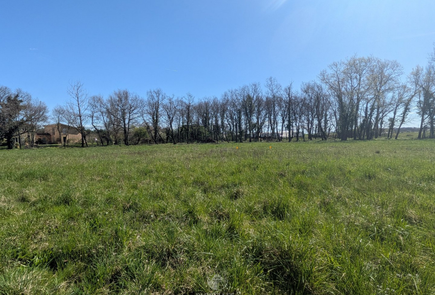 vente Terrain Muret - Photo 1