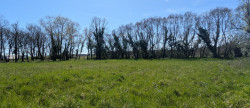 vente Terrain Muret