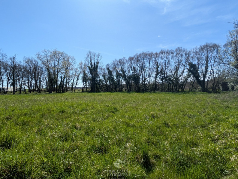 vente Terrain Muret - Photo 3