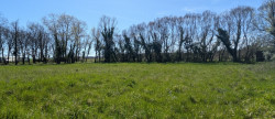 vente Terrain Muret