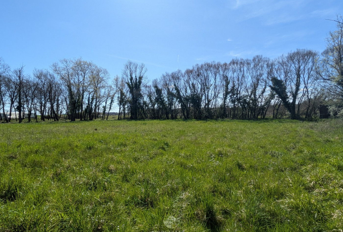 vente Terrain Muret - Photo 4