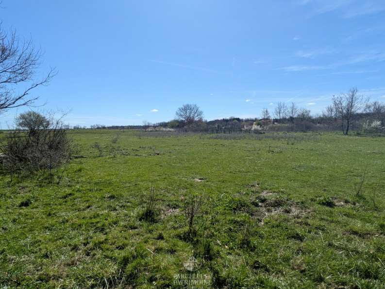 vente Terrain Muret - Photo 6