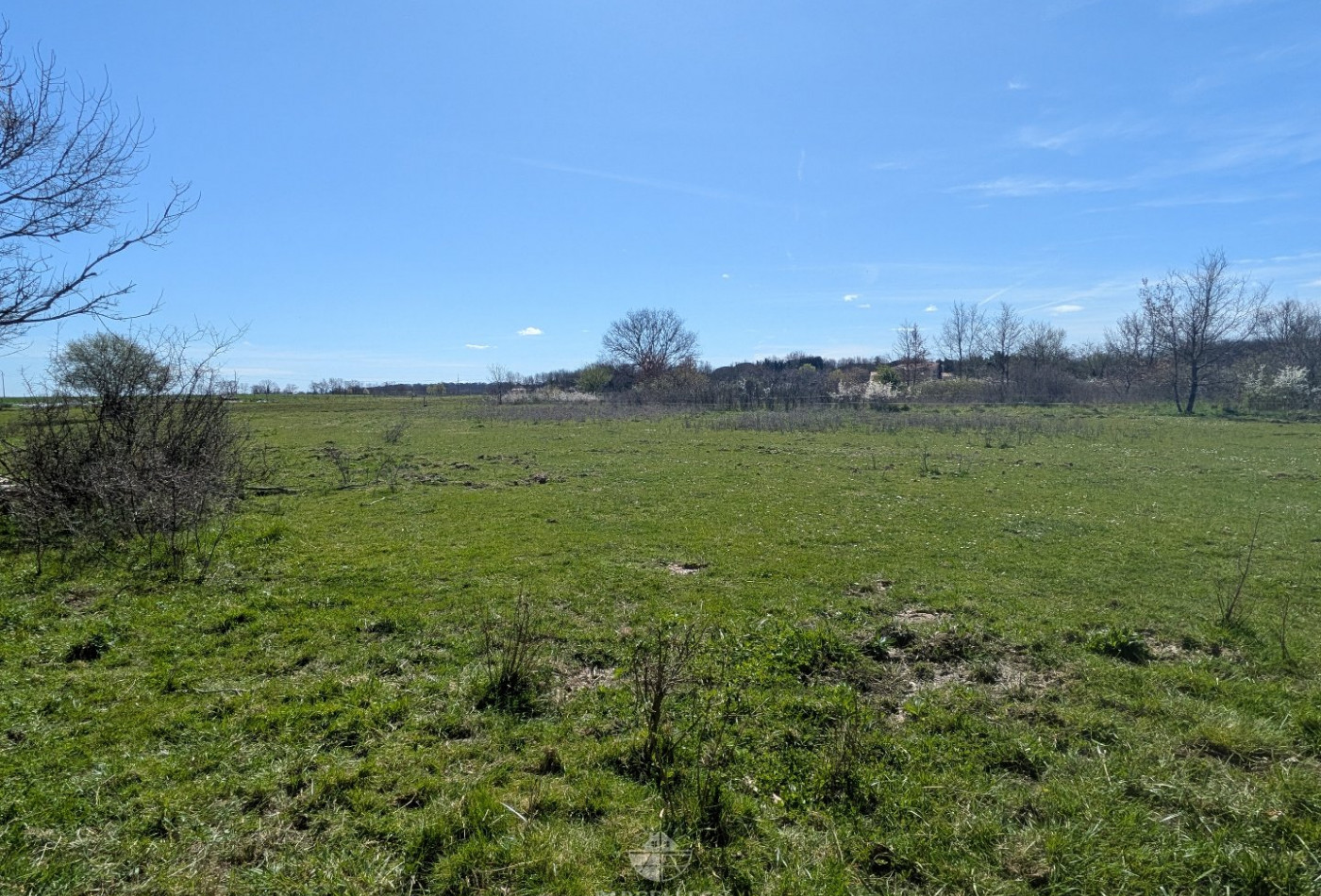 vente Terrain Muret - Photo 2