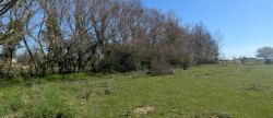 vente Terrain Muret