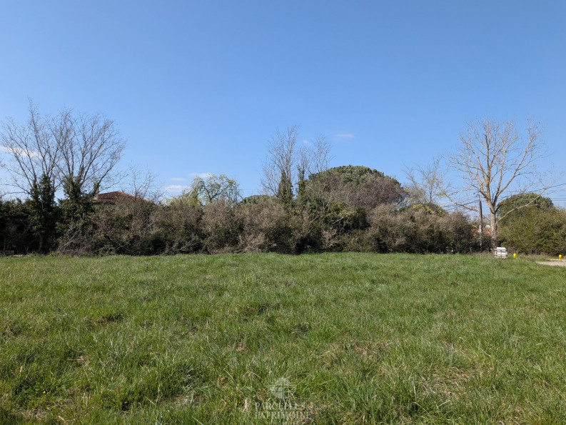 vente Terrain Muret - Photo 4