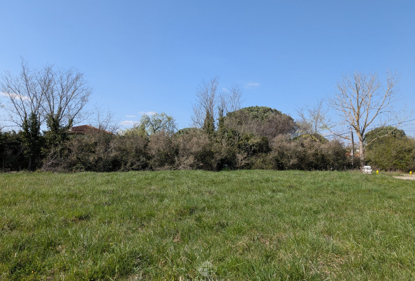 vente Terrain Muret - Photo 4