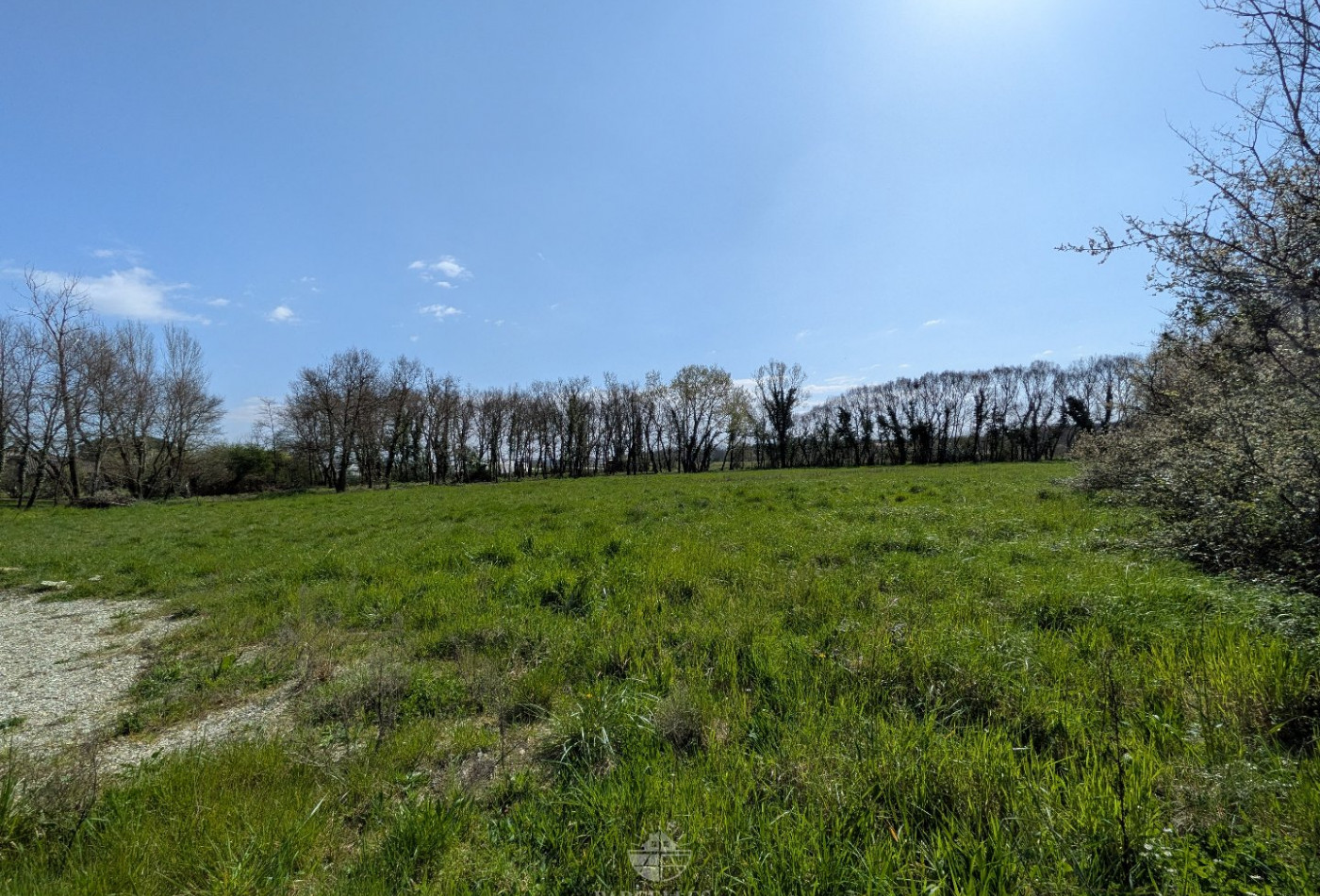 vente Terrain Muret - Photo 7