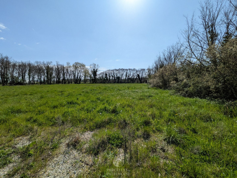 vente Terrain Muret - Photo 2