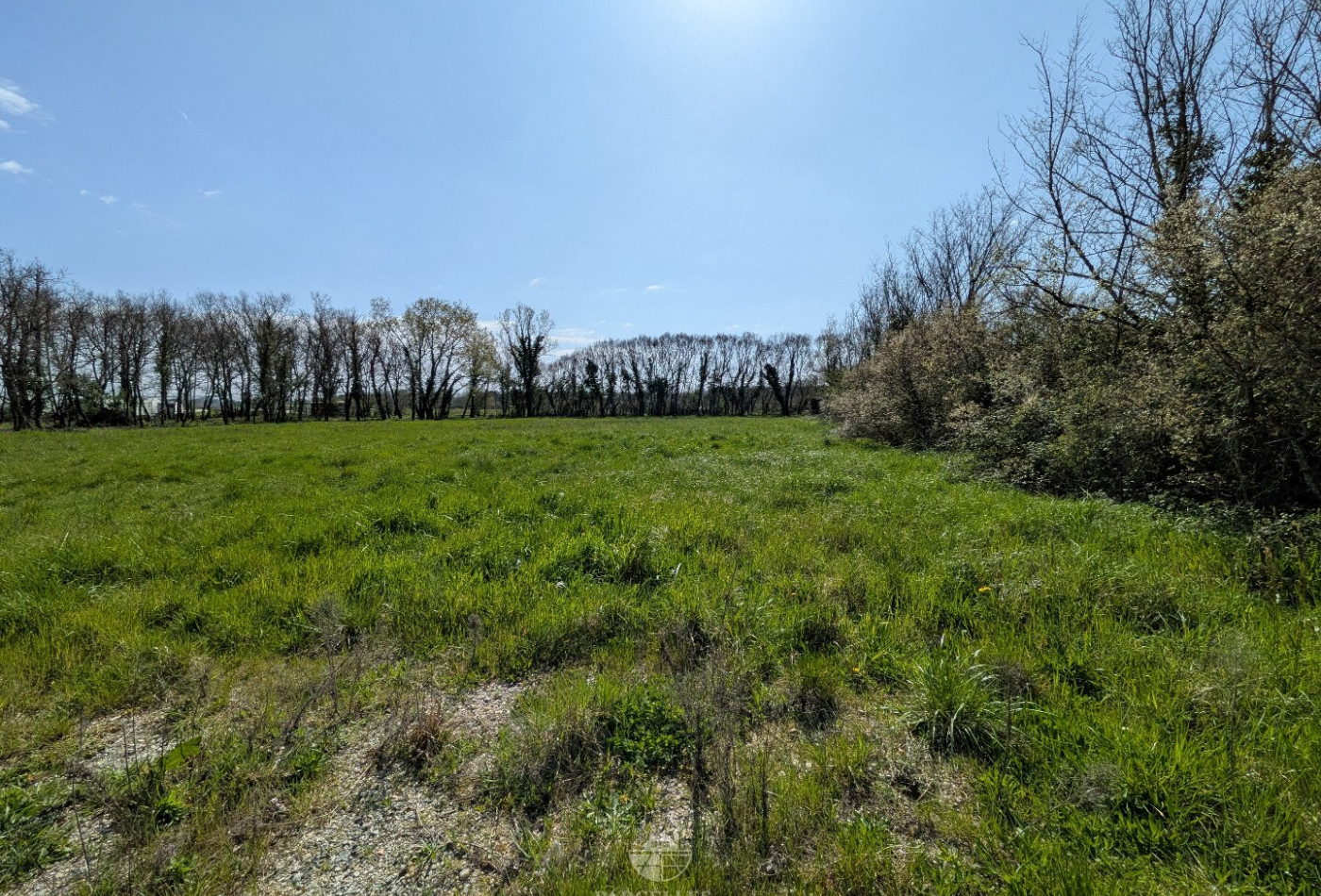 vente Terrain Muret - Photo 2