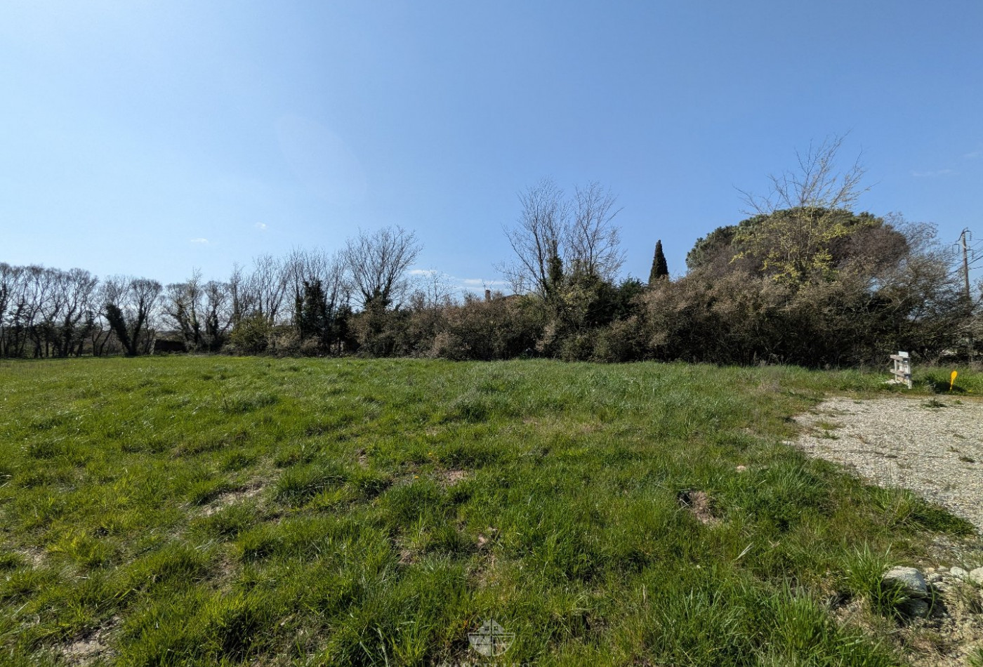 vente Terrain Muret - Photo 6
