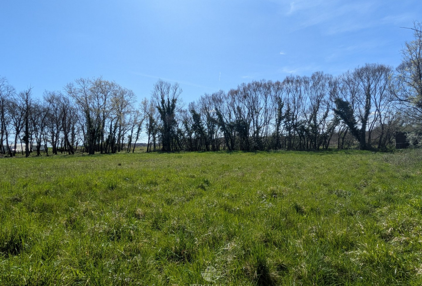 vente Terrain Muret - Photo 1