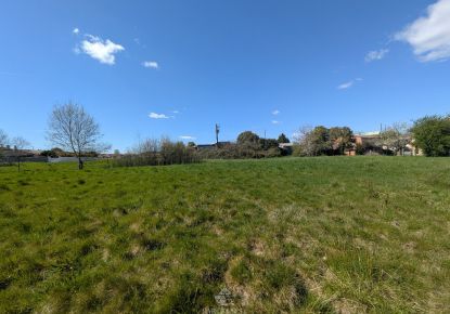vente Terrain Rieumes