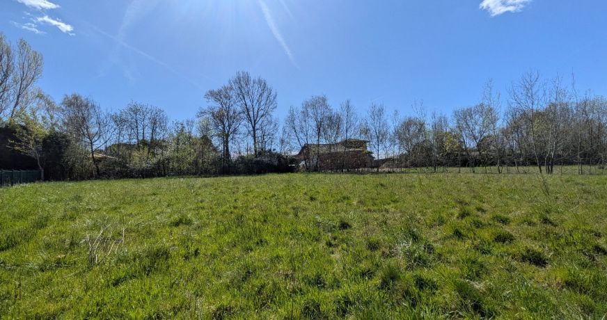 vente Terrain Rieumes