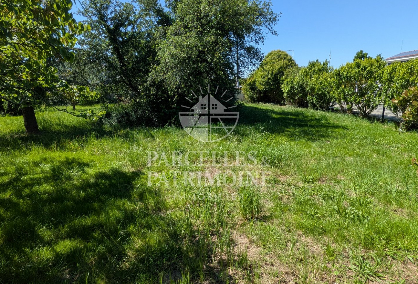 vente Terrain Villate - Photo 4