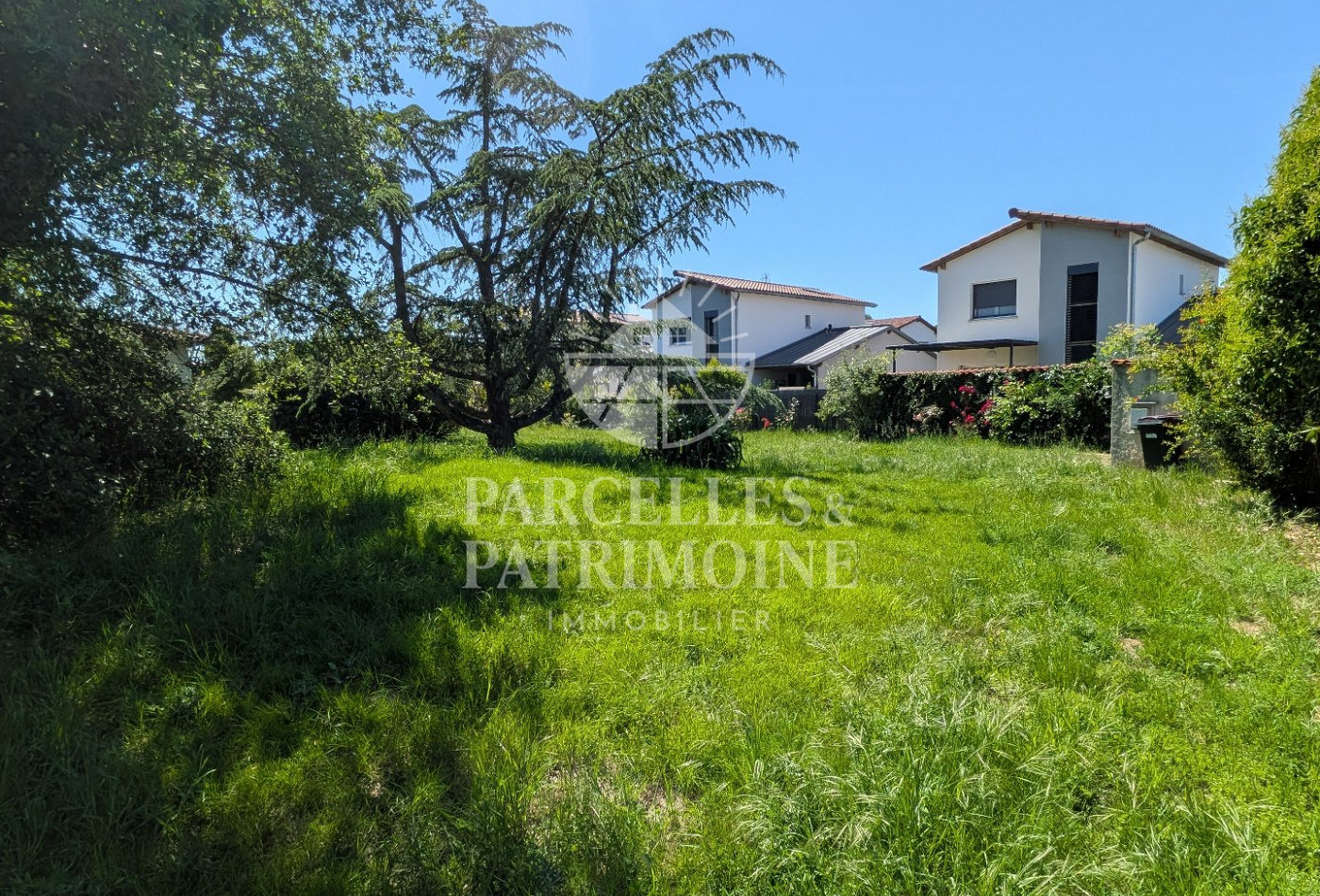vente Terrain Villate - Photo 5
