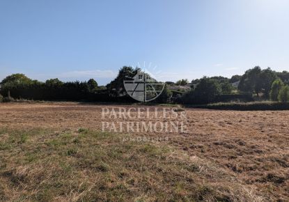 vente Terrain Berat
