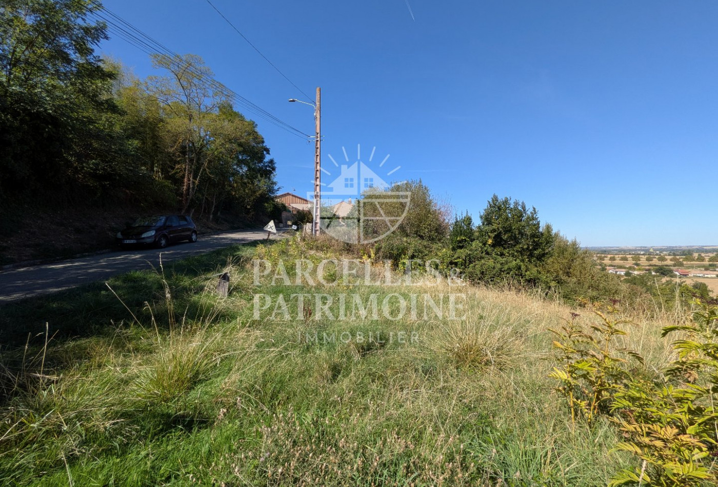 vente Terrain Puydaniel - Photo 6