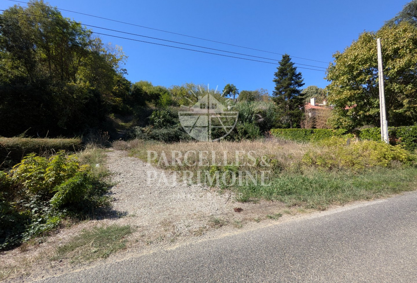 vente Terrain Puydaniel - Photo 2