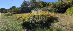 vente Terrain Puydaniel