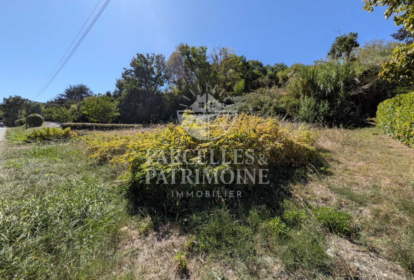 vente Terrain Puydaniel - Photo 3