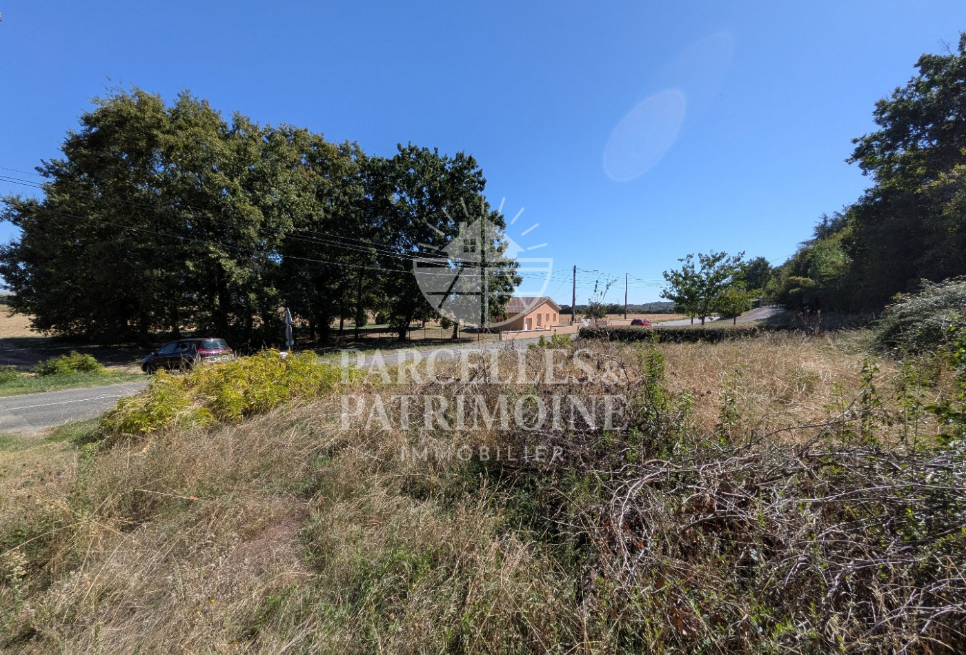 vente Terrain Puydaniel - Photo 4