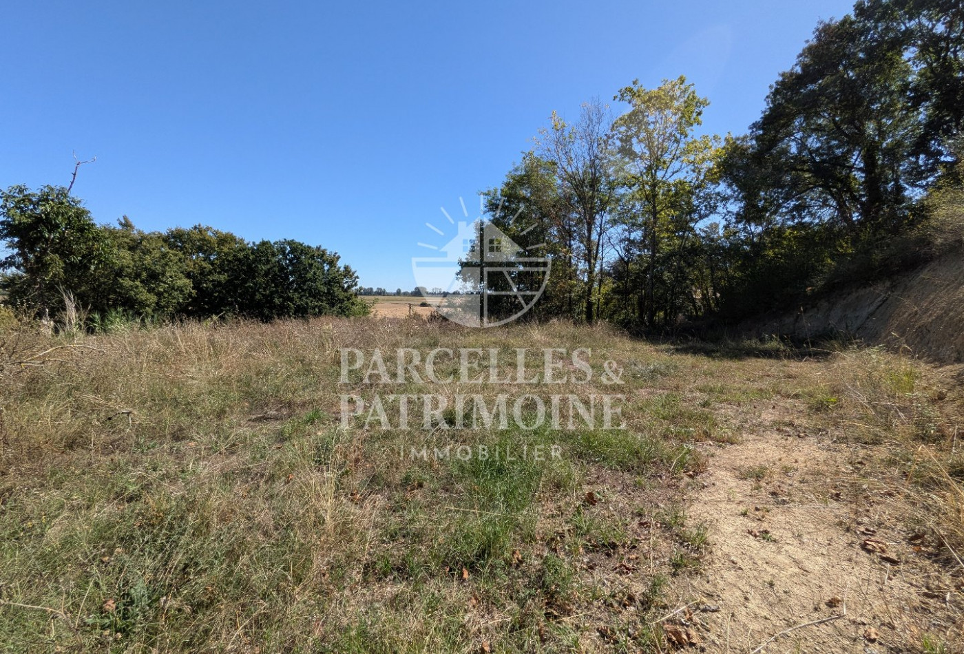 vente Terrain Puydaniel - Photo 6