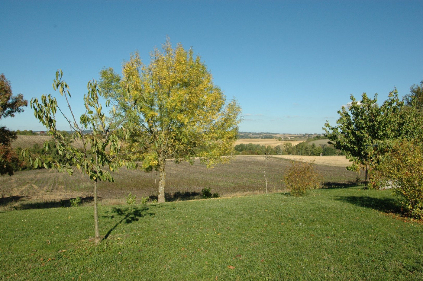 A vendre L'isle-jourdain 320071001 L'occitane immobilier