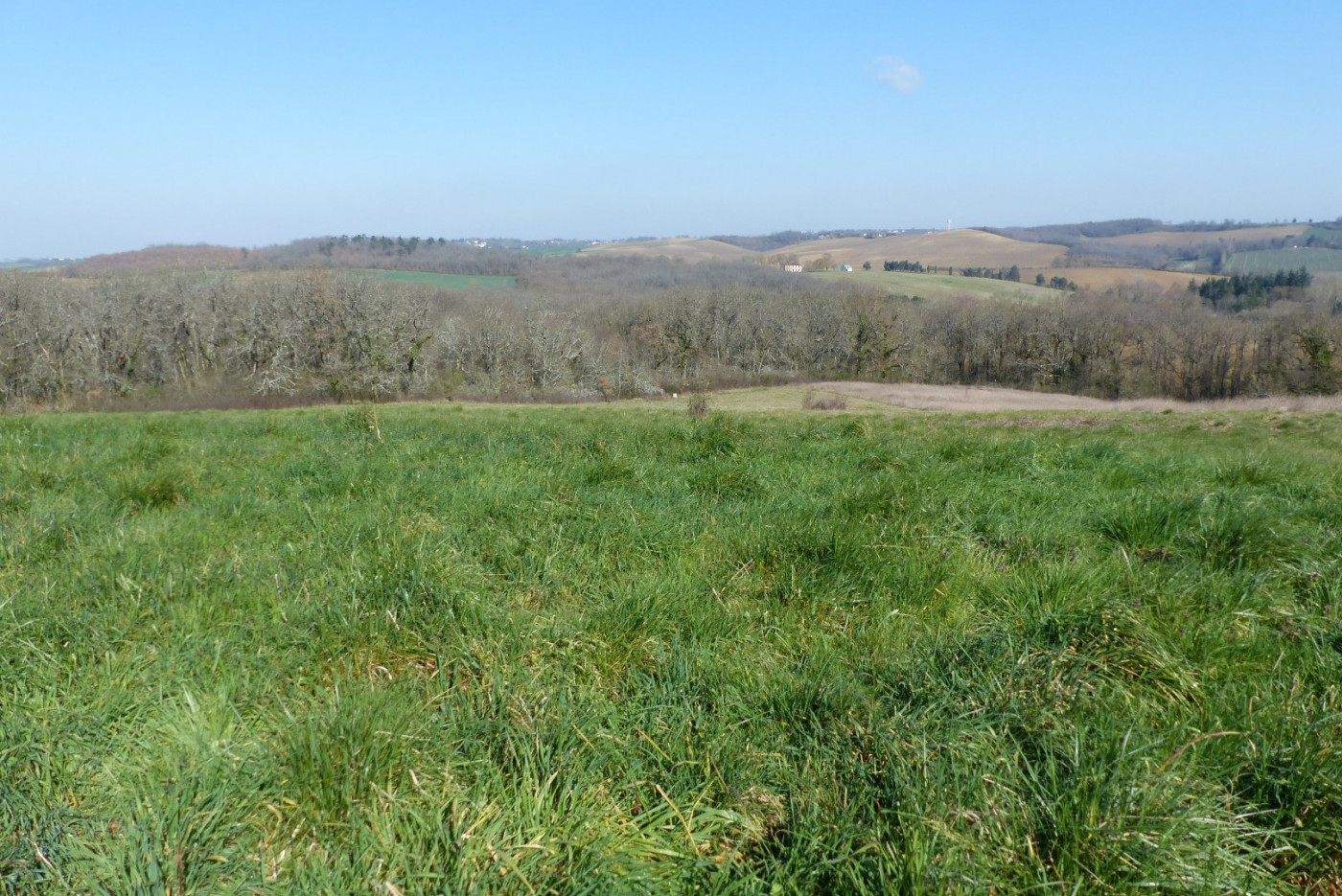 A vendre Levignac 320071021 L'occitane immobilier