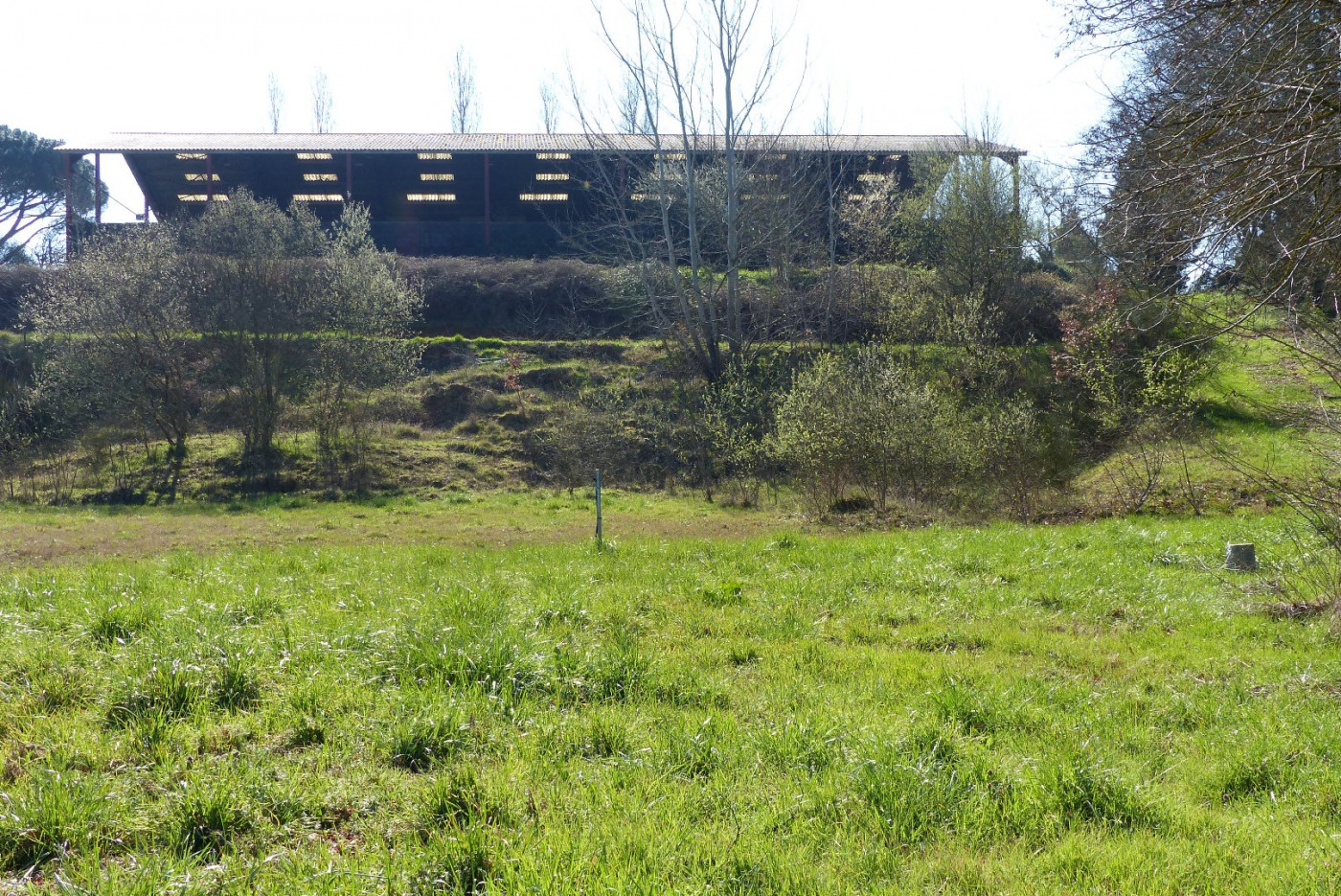 A vendre Levignac 320071021 L'occitane immobilier