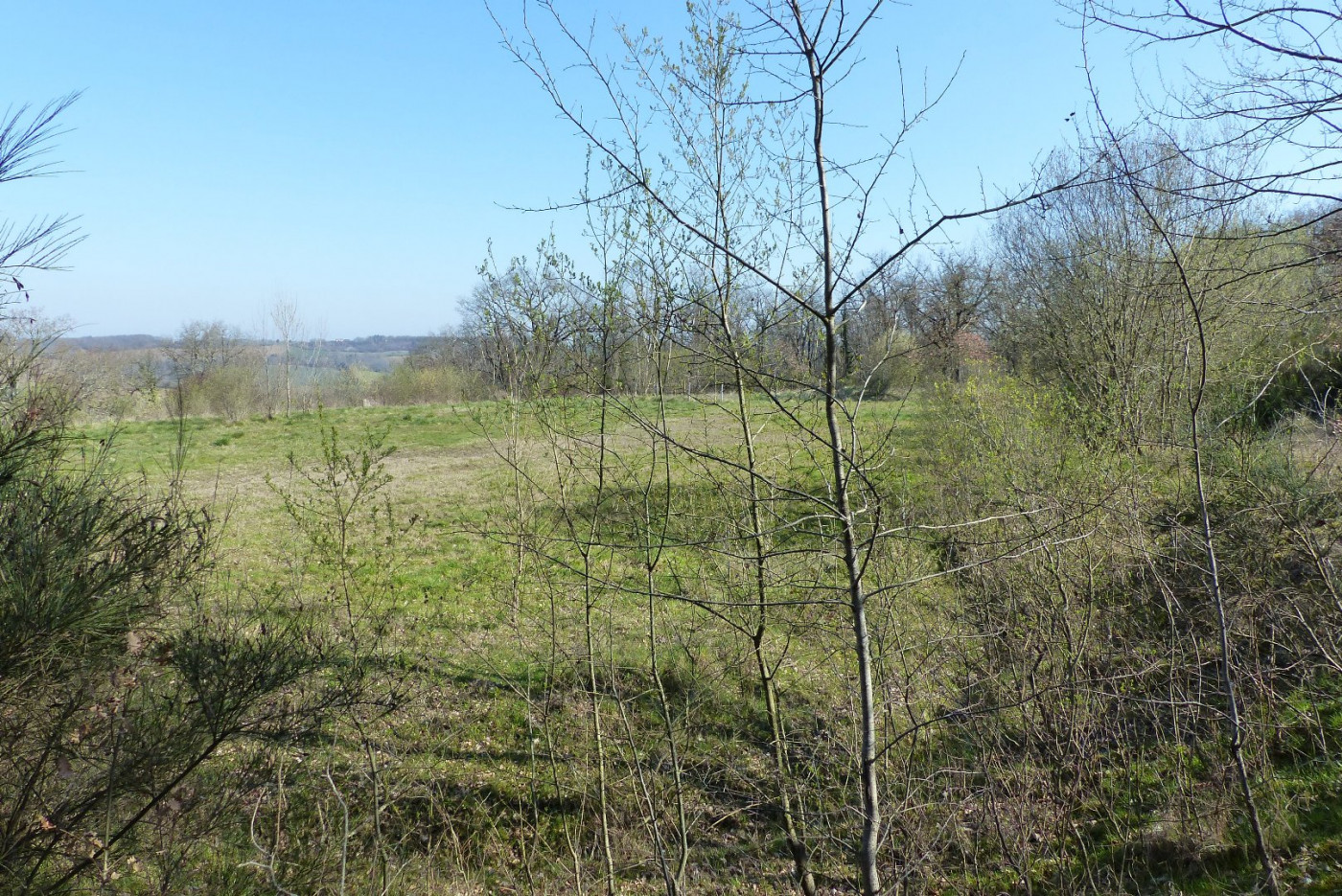 A vendre Levignac 320071021 L'occitane immobilier
