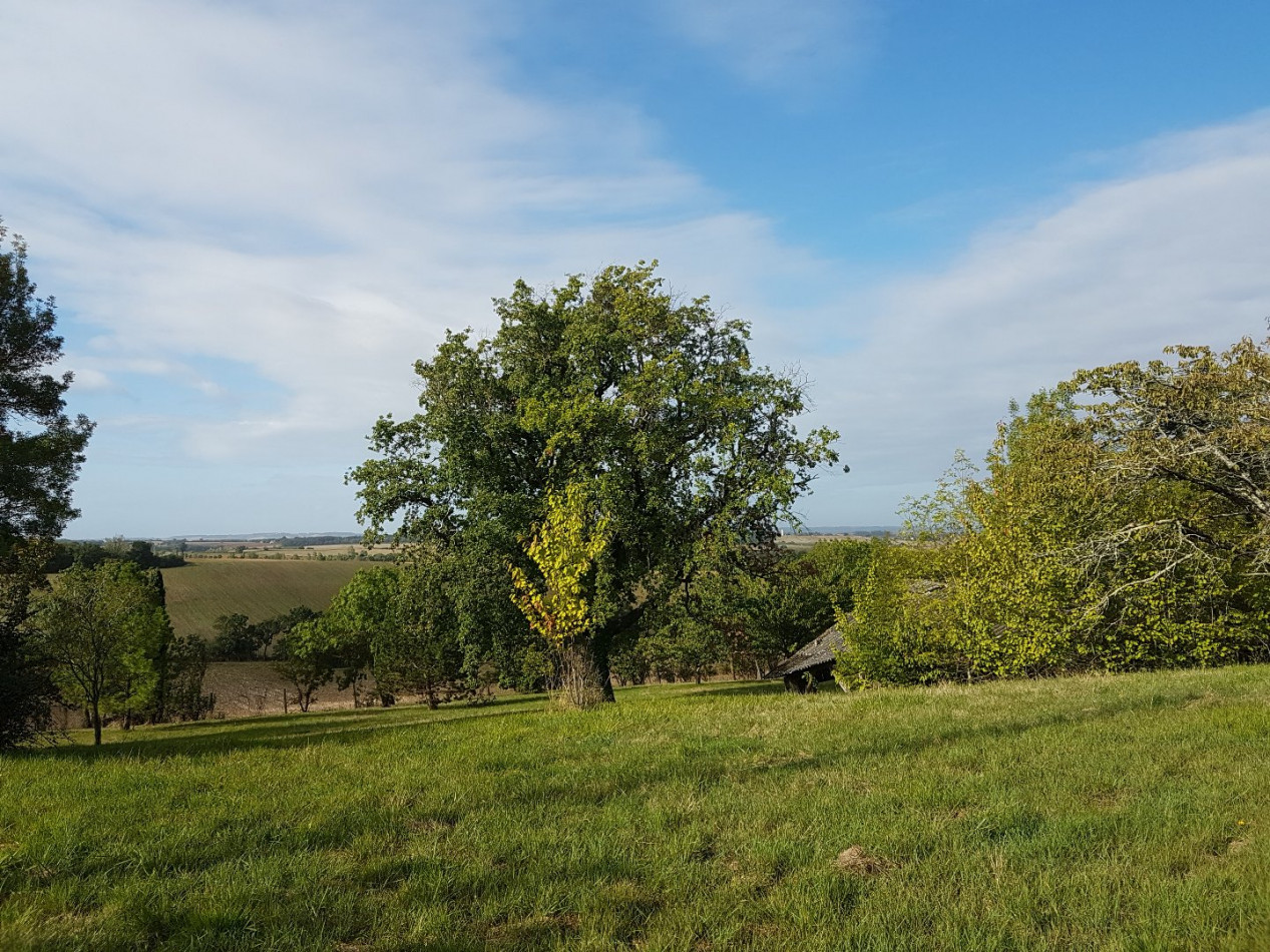 A vendre Mauvezin 320071051 L'occitane immobilier