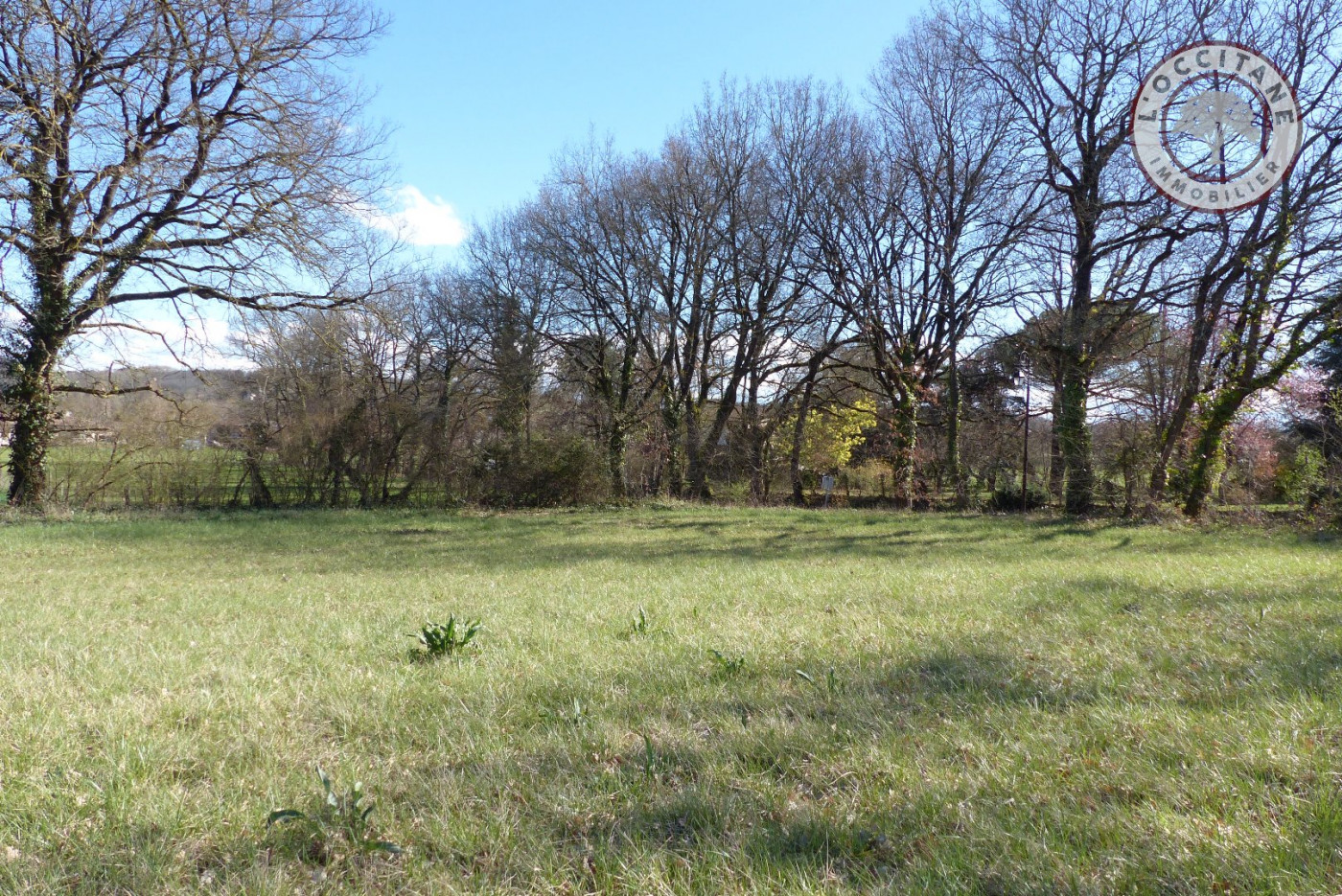 A vendre Montaigut-sur-save 320071084 L'occitane immobilier