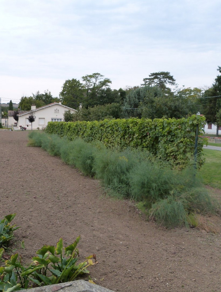 A vendre L'isle-jourdain 320071094 L'occitane immobilier