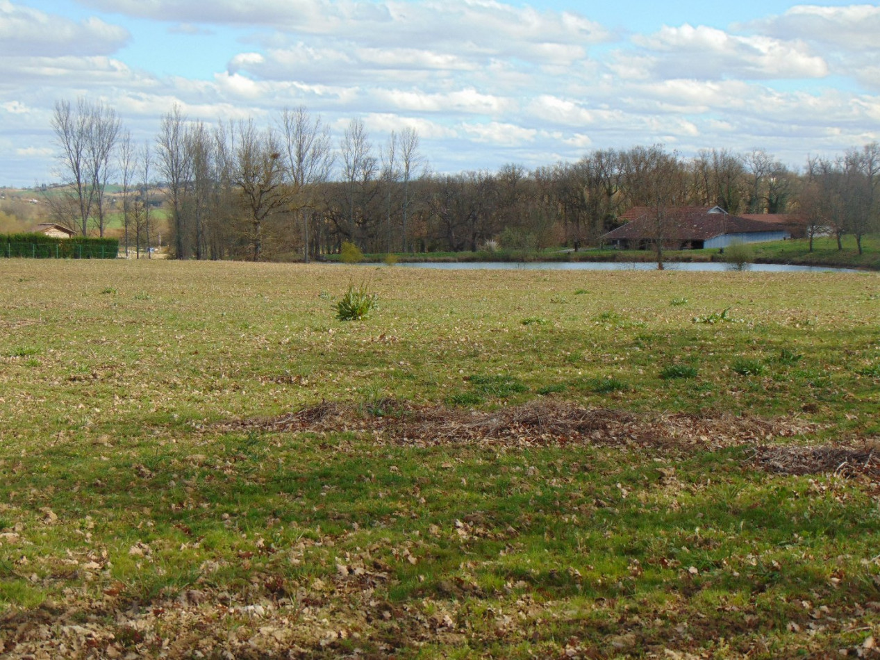 A vendre Gimont 320071138 L'occitane immobilier