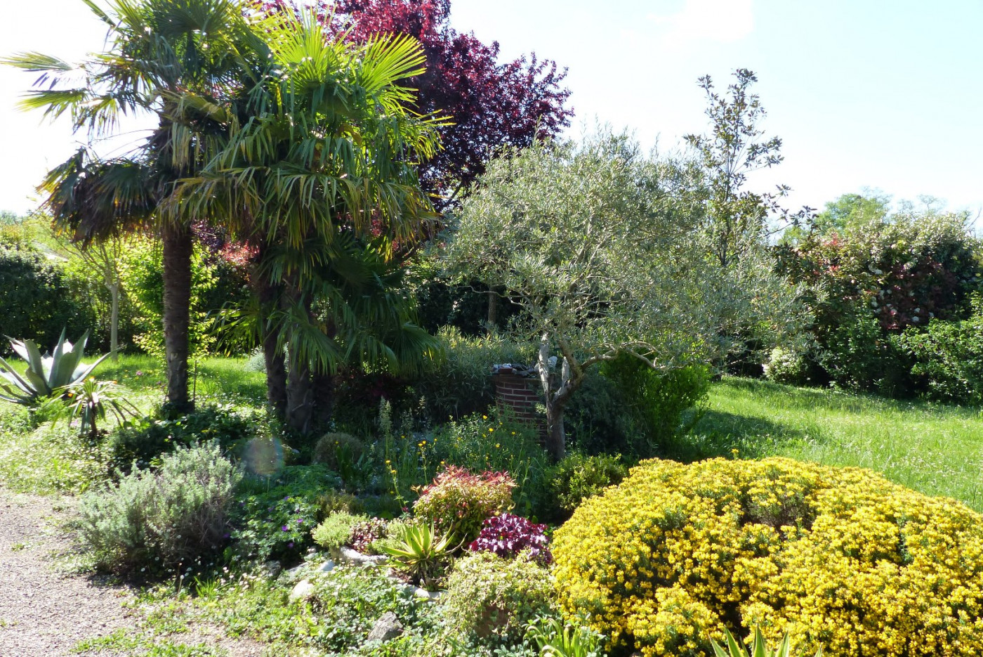 A vendre Levignac 320071158 L'occitane immobilier