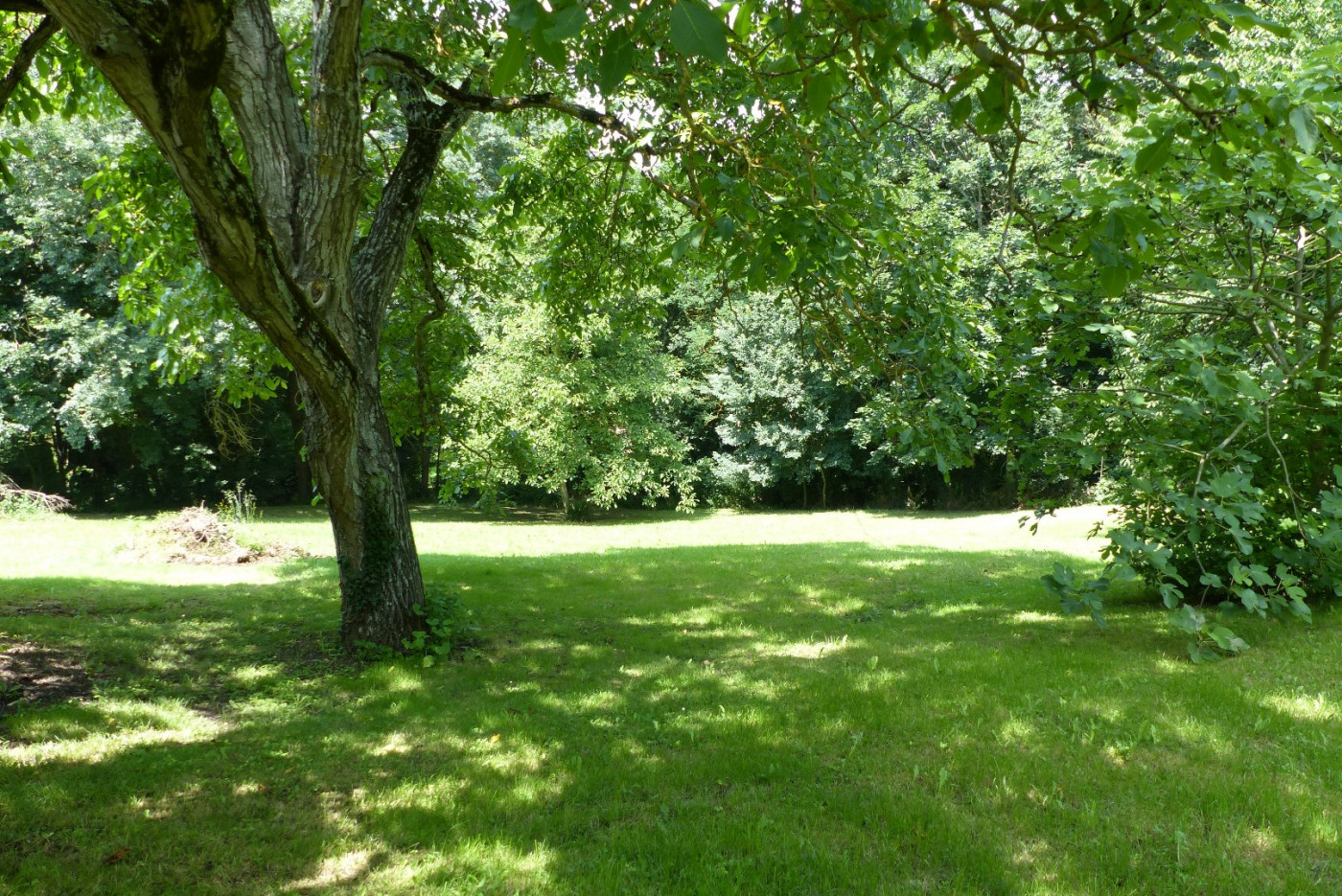 A vendre Montaigut-sur-save 320071198 L'occitane immobilier