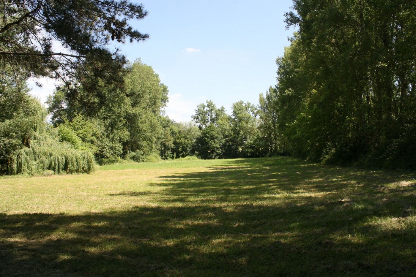 A vendre L'isle-jourdain 320071213 L'occitane immobilier