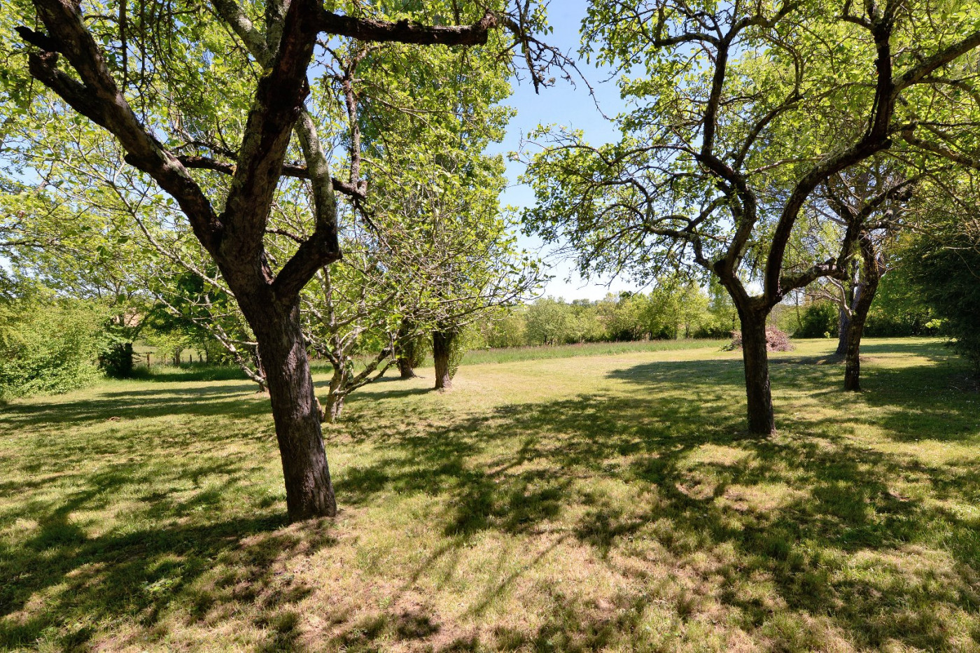 A vendre Gimont | Réf 320071456 - L'occitane immobilier - Photo 3