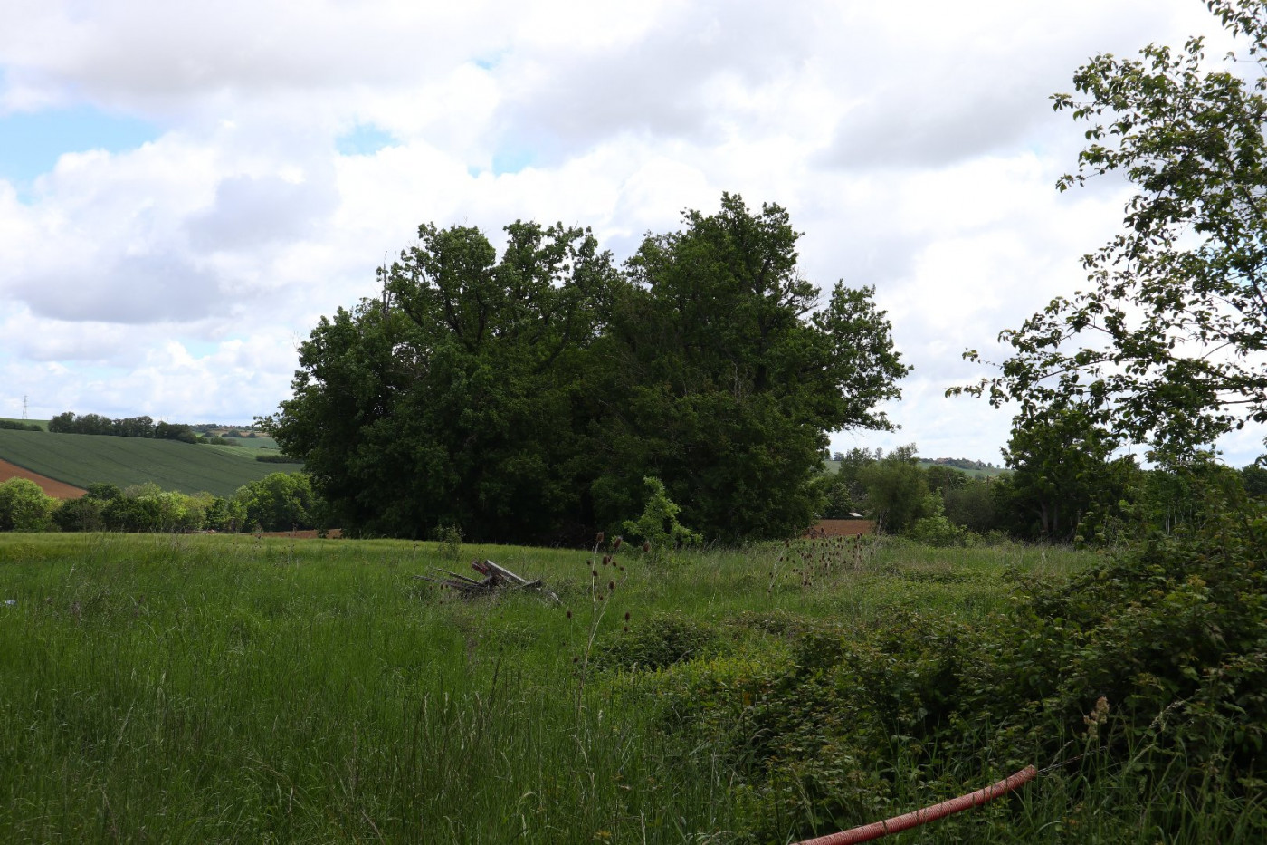 A vendre Samatan 320071497 L'occitane immobilier - Photo 6