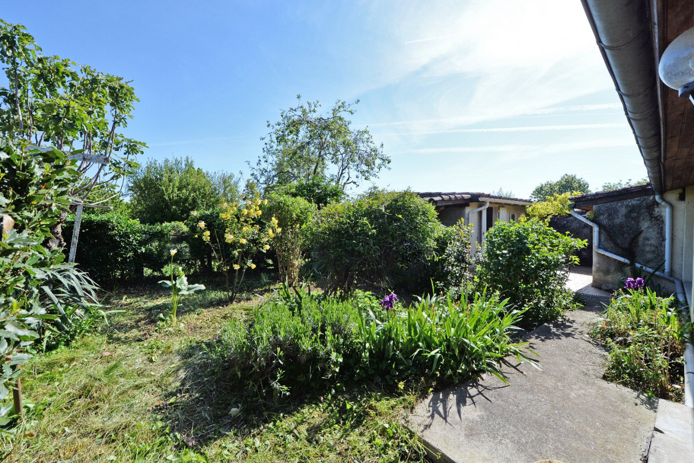 A vendre Fonsorbes 320071501 L'occitane immobilier - Photo 5