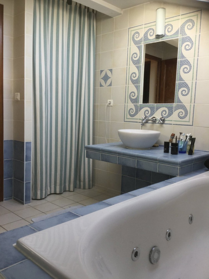 A vendre L'isle-jourdain 320071551 L'occitane immobilier
